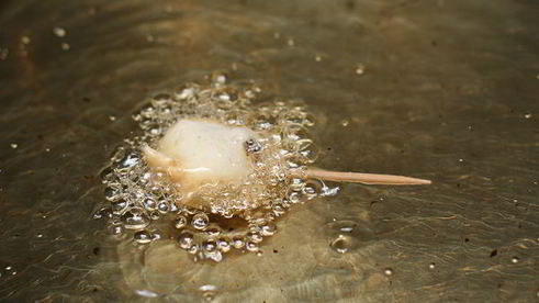 чернослив в кляре