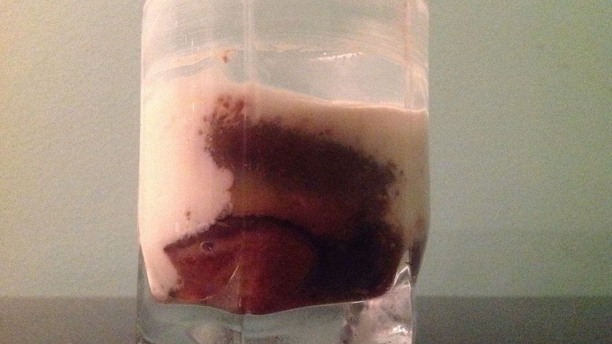 Рецепт десерт с инжиром и маскарпоне