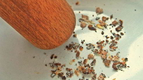 фруктово-ореховая колбаса