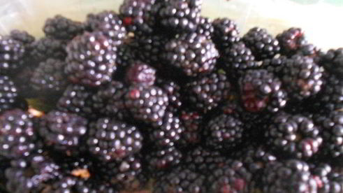 мороженое с ежевикой