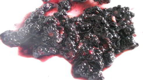 мороженое с ежевикой