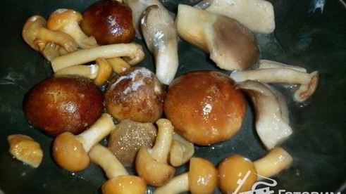 баклажаново-грибной мусс