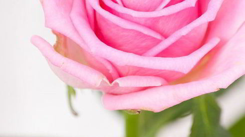 малиновый мусс с ароматом розы