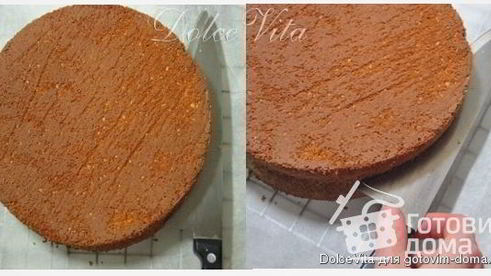 торт-мусс с черной смородиной