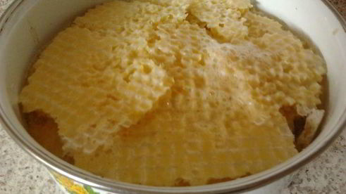 суфле из куриной печени в вафельных коржах