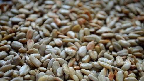 суфле из сельдерея с курагой