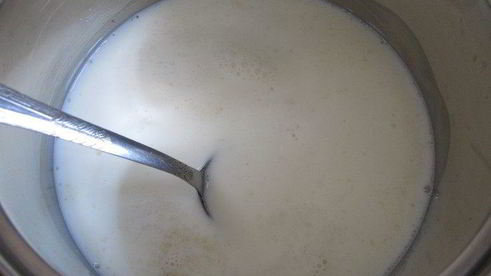 цитрусовая панна котта