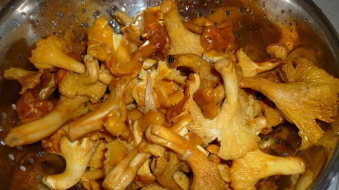 жареный молодой картофель с лисичками