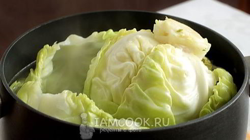 голубцы из молодой капусты с перловкой