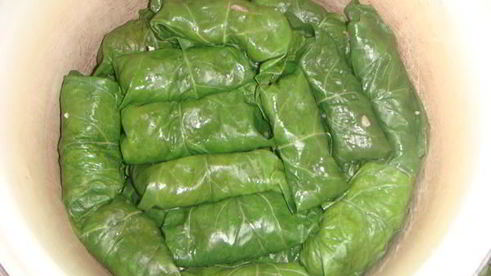 голубцы в лахане с двумя соусами