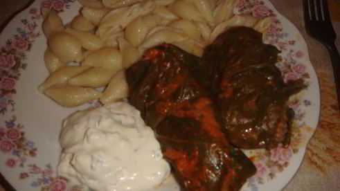 голубцы в лахане с двумя соусами