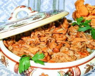 Лисички, жареные в сметане