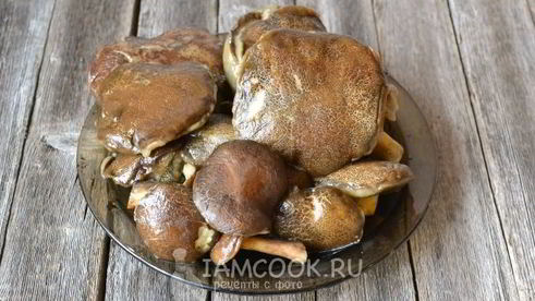 моховики жареные