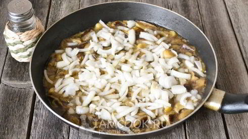 моховики жареные