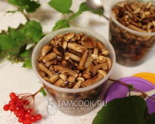 Опята в сладком маринаде