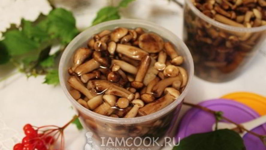 Рецепт опята в сладком маринаде