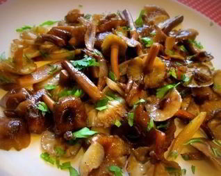 Опята жареные в мультиварке