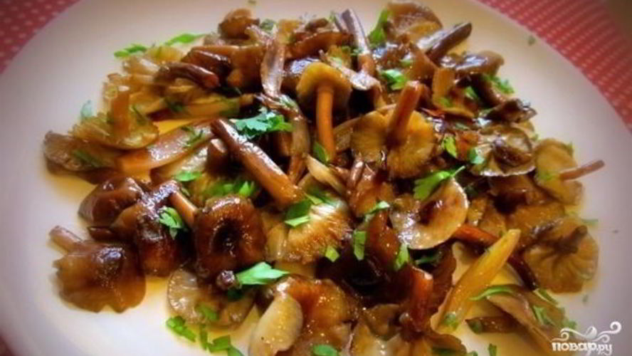 Рецепт опята жареные в мультиварке