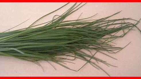 шампиньоны фаршированные с беконом