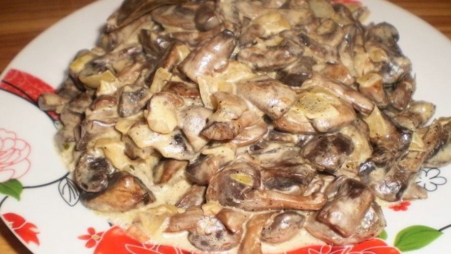 Рецепт вешенки жареные с луком и сметаной
