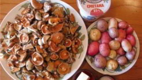 жареные грибы рыжики