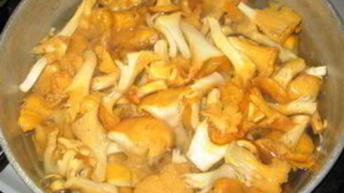 гуляш из лисичек