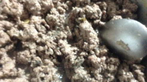 лазанья из савойской капуты