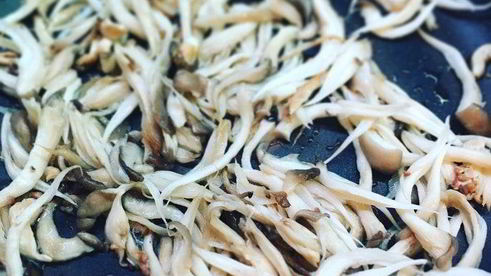 лазанья с вешенками под соусом бешамель