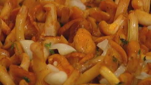 паста с грибами, рикоттой и базиликом