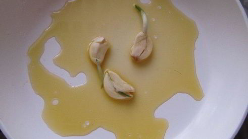 куриная грудка в шубке из шпината и соуса бешамель