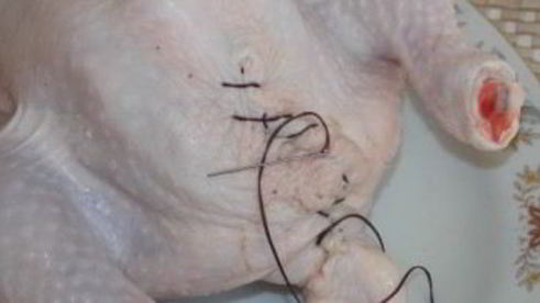 курица, фаршированная яблоками, в духовке