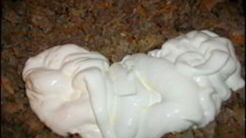 перцы фаршированные мясным фаршем