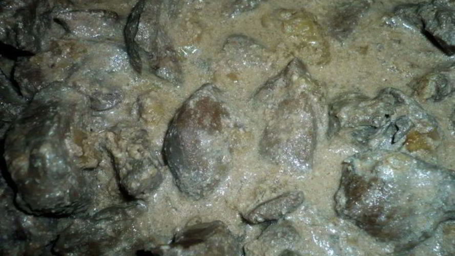 Рецепт говяжья печень в сметане