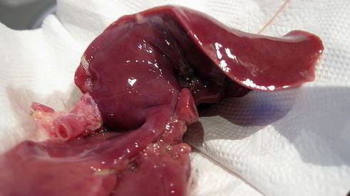 тушеная куриная печень с яблоками