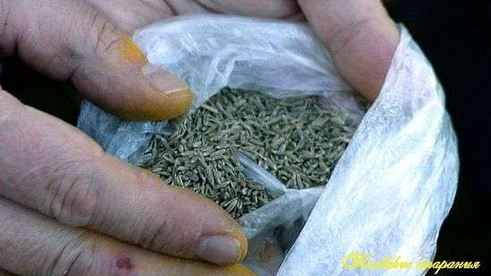 плов классический