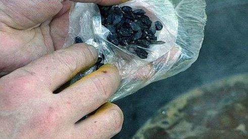 плов классический