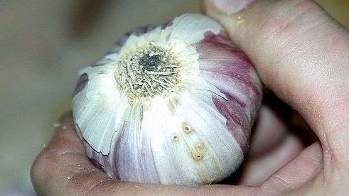 плов классический