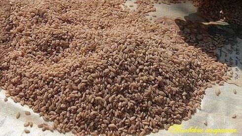 плов классический