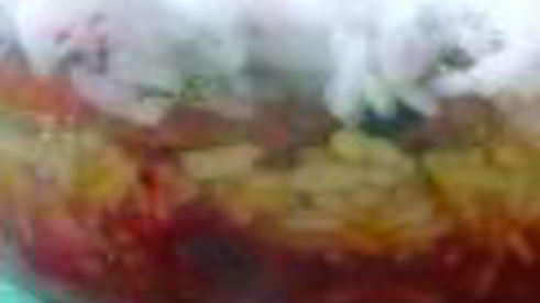 трехцветный плов