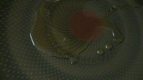 ароматное рагу из свинины и грибов