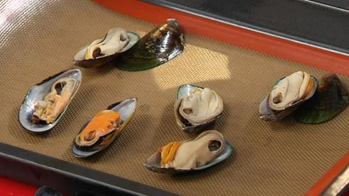 рагу из мидий с пряными томатами и мидии, запеченные под сыром моцарелла