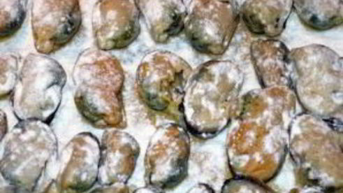 мидии в кляре