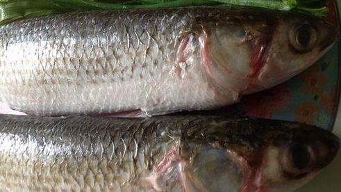 пряная кефаль