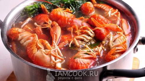 раки вареные с кукурузой