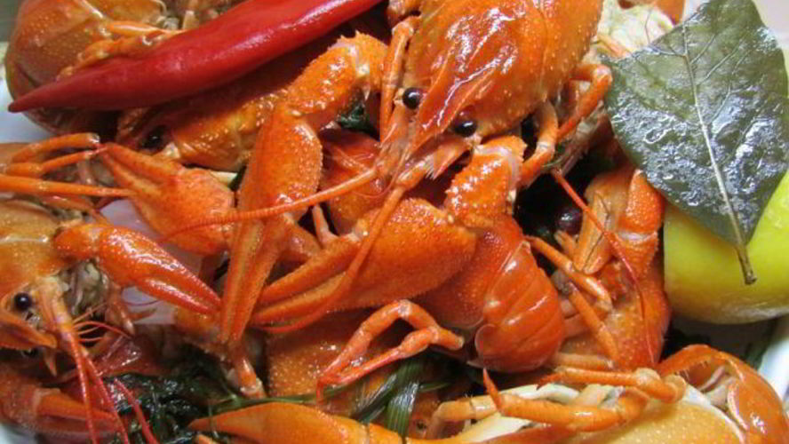 Рецепт раки вареные