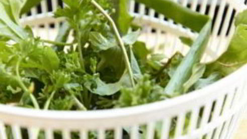 рыба на пару с травами