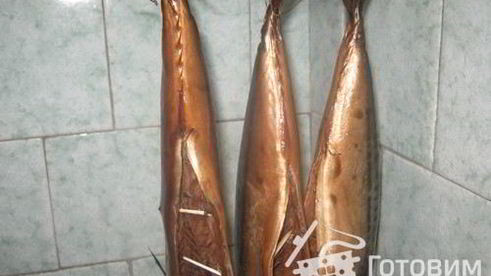 скумбрия холодного копчения-ii способ