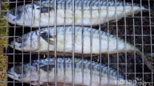 скумбрия на барбекю