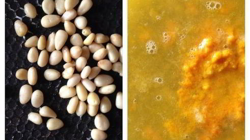 скумбрия под томатно-апельсиновым соусом