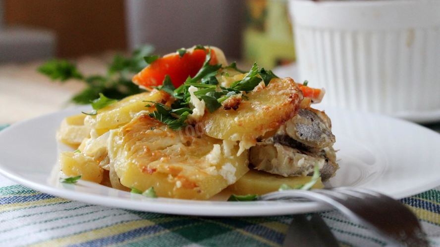 Рецепт судака с картошкого в духовке